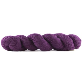Merino dArles 306 Azalée