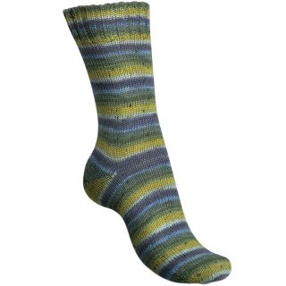 Tweed Color 4-fdig frhlingserwachen (07497)