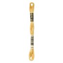 DMC Mouline Special Sticktwist 0676
