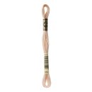DMC Mouline Special Sticktwist 0950
