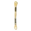 DMC Mouline Special Sticktwist 3823