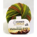Lungauer Vielseitige Color grün (313/19)