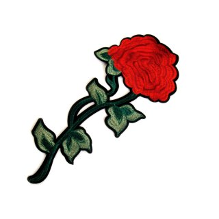 Großer Aufbügler Rose