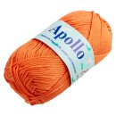 Apollo 2653 orange