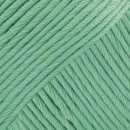 Muskat [Uni] mint (03)