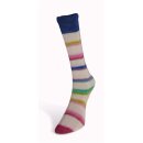Art Sock 11