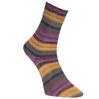 Golden Socks Stretch Davos