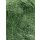 OLIVE (0098)