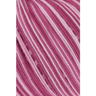 PINK OMBRÉ (0165)