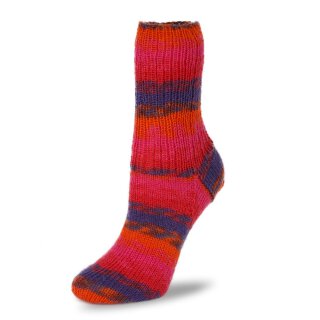 orange-lila-pink (1497)