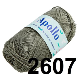 2607