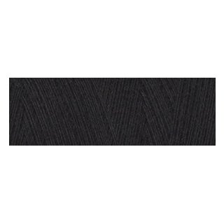 schwarz 67099