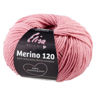 7291 ROSA MITTEL