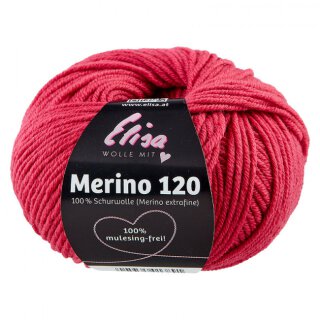 7294 HIMBEERE