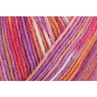 unicorn color (01141)