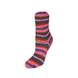 1194 pink-lila-rot-gelb
