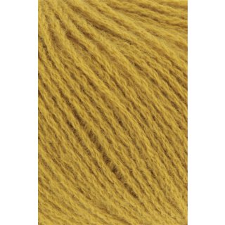 GOLD (0050)