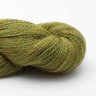 119 Apfel meliert