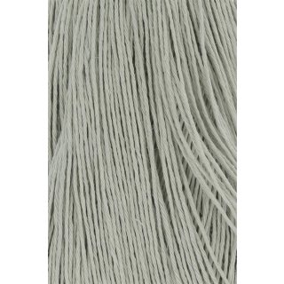 STEIN (0026)