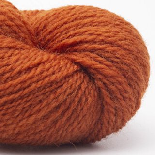 Burnt Orange (05)